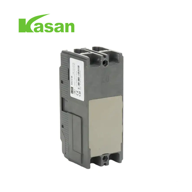 2P EZC Laser Panel Molded Case Circuit Breaker